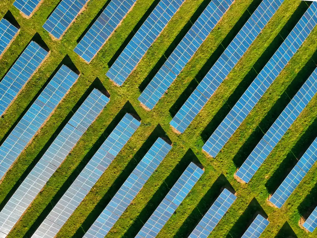 Vista aérea de painéis solares em área verde